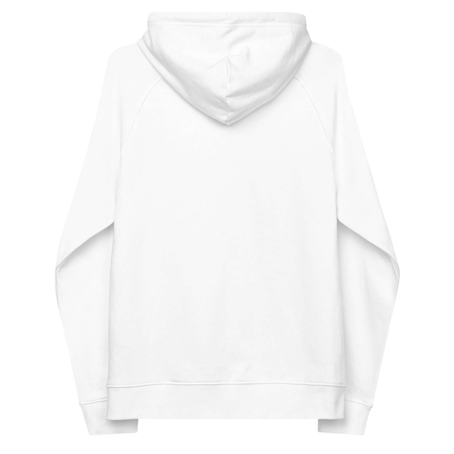 How it Feels to Know - Embroidery Unisex eco raglan hoodie