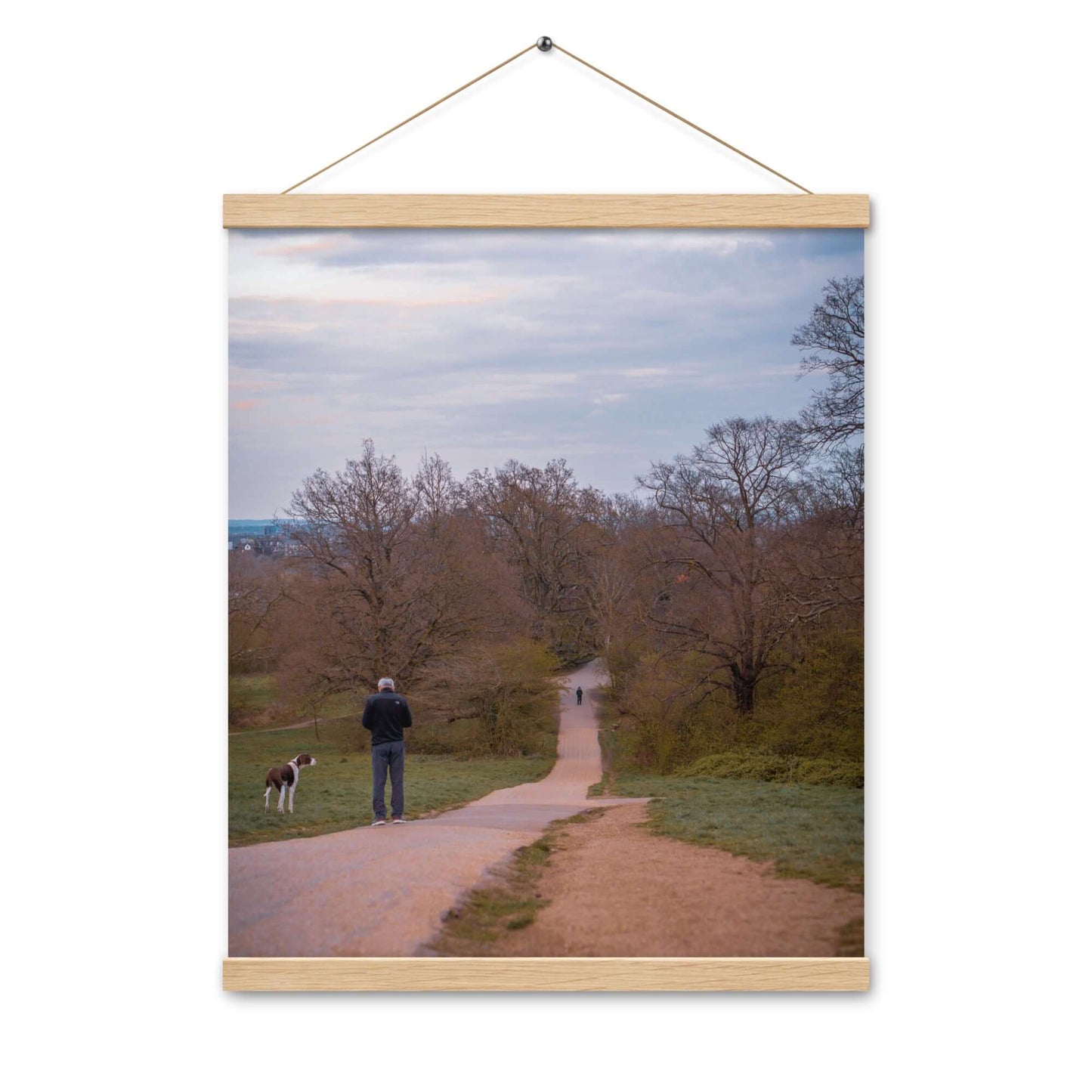 Man Walking His Dog