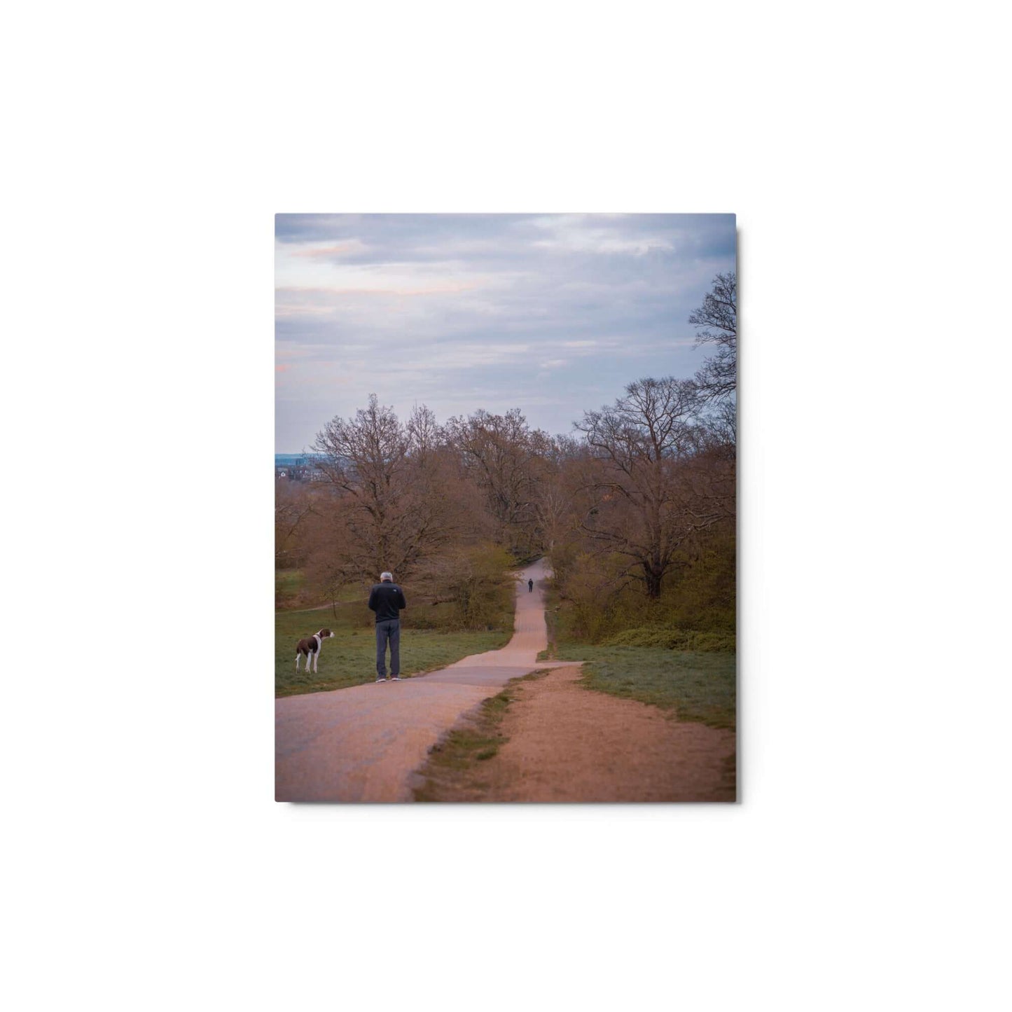 Man Walking His Dog