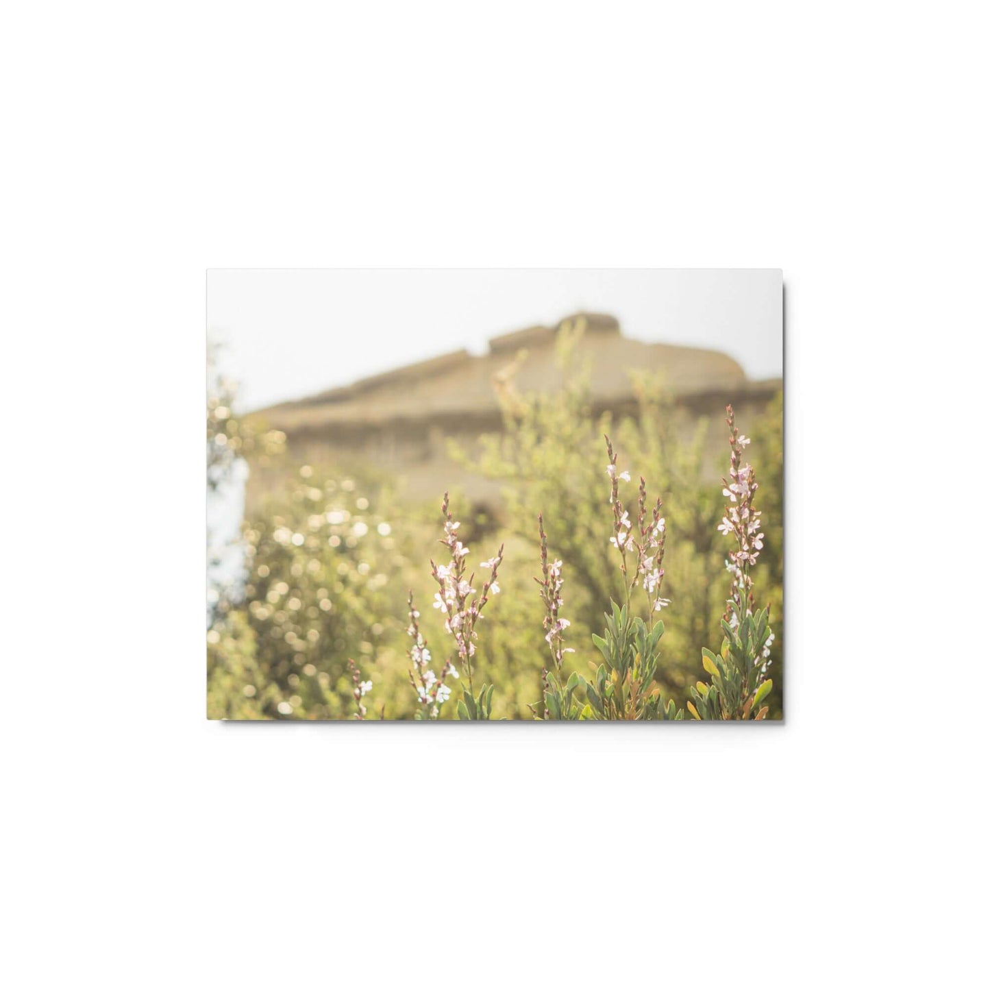 Flowers in front of Ancient Greek temple