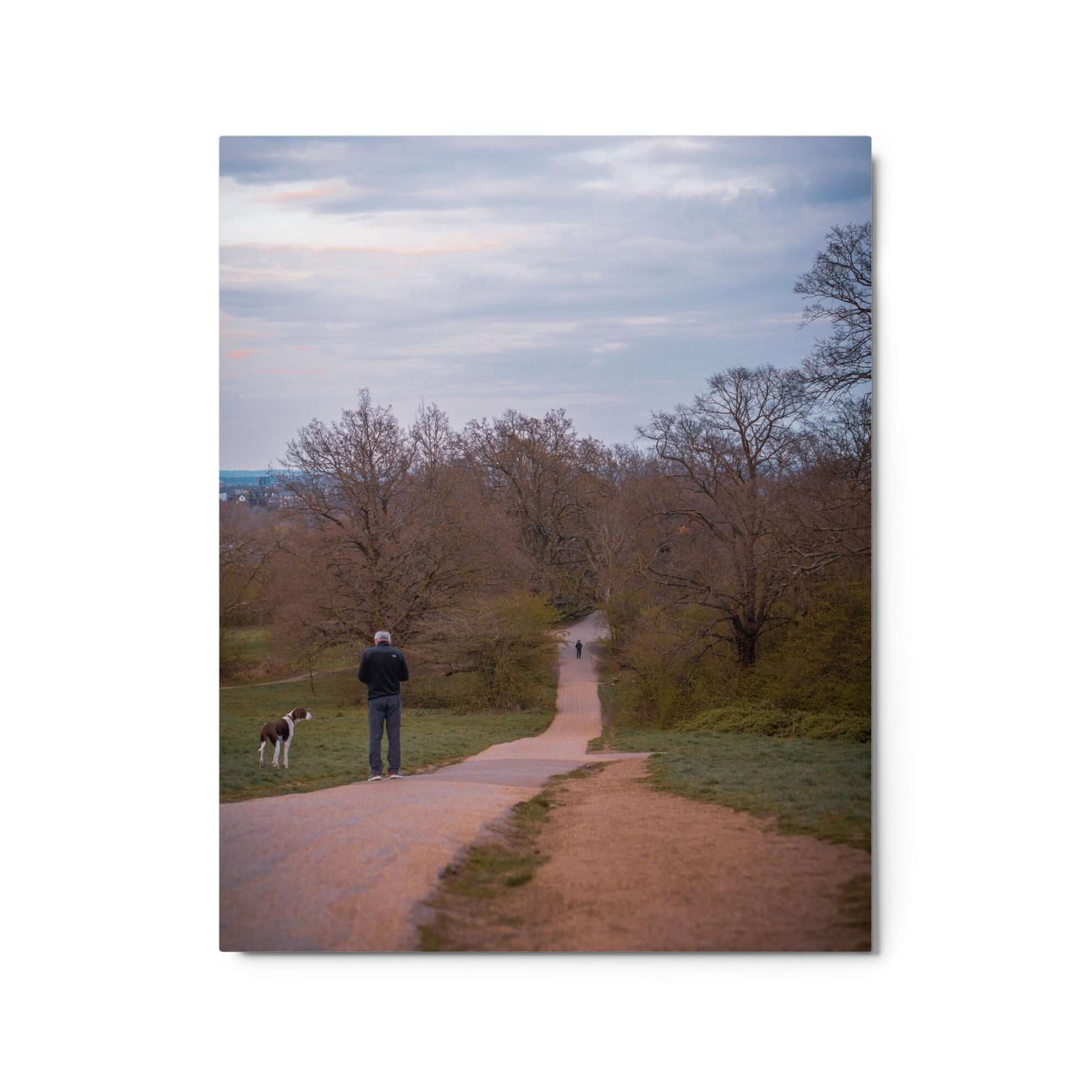 Man Walking His Dog