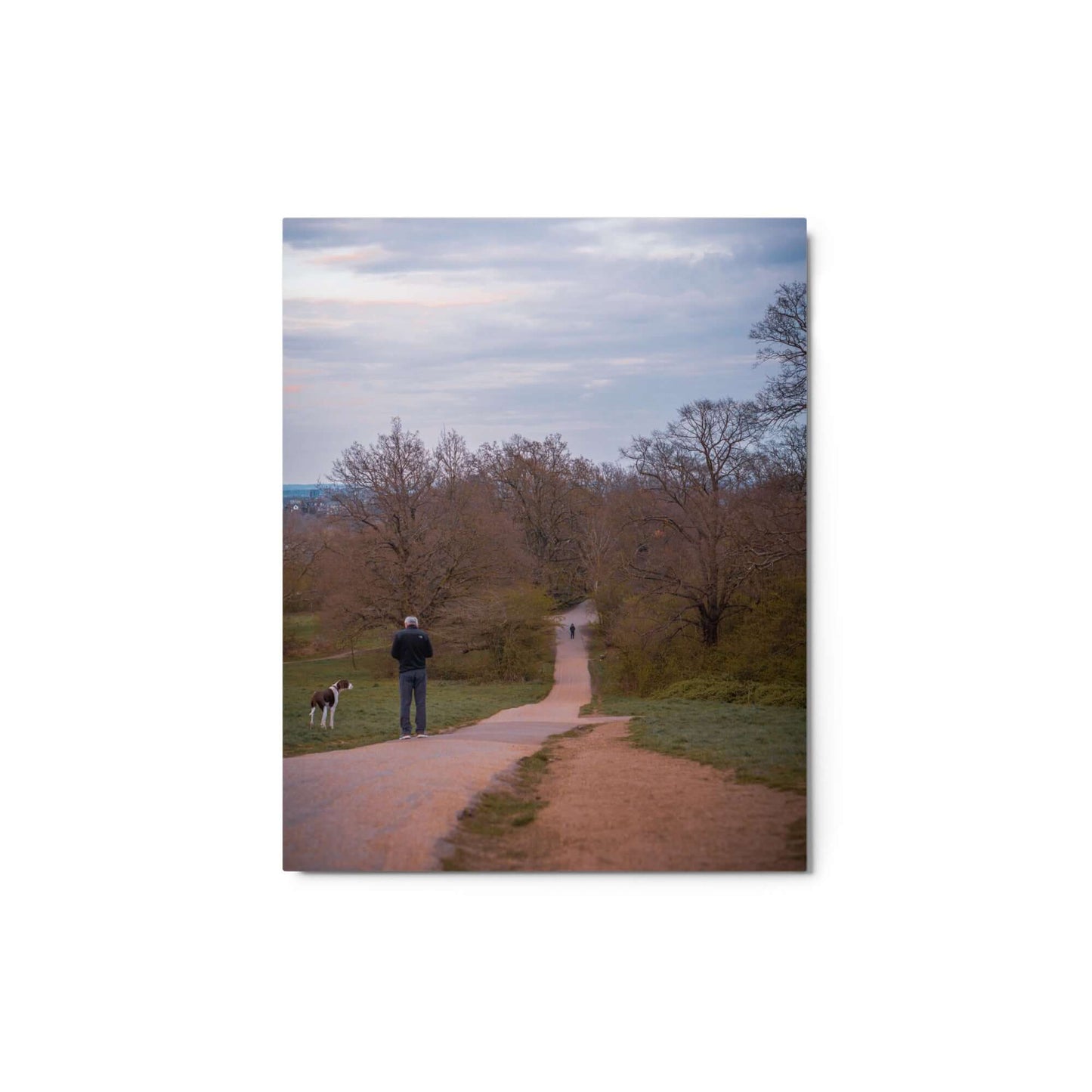 Man Walking His Dog