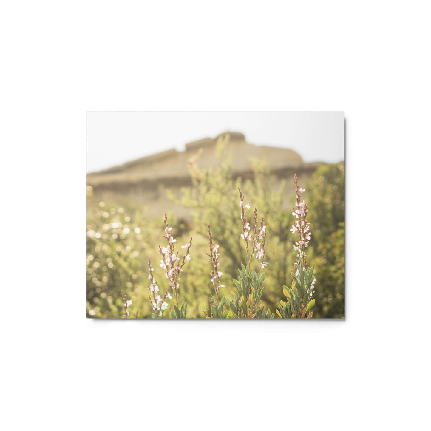 Flowers in front of Ancient Greek temple