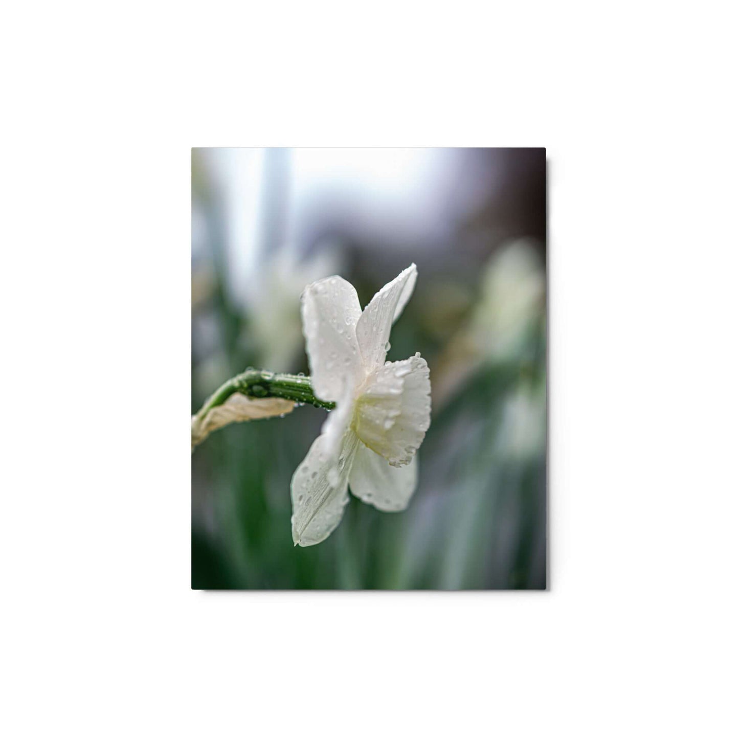 White flowers