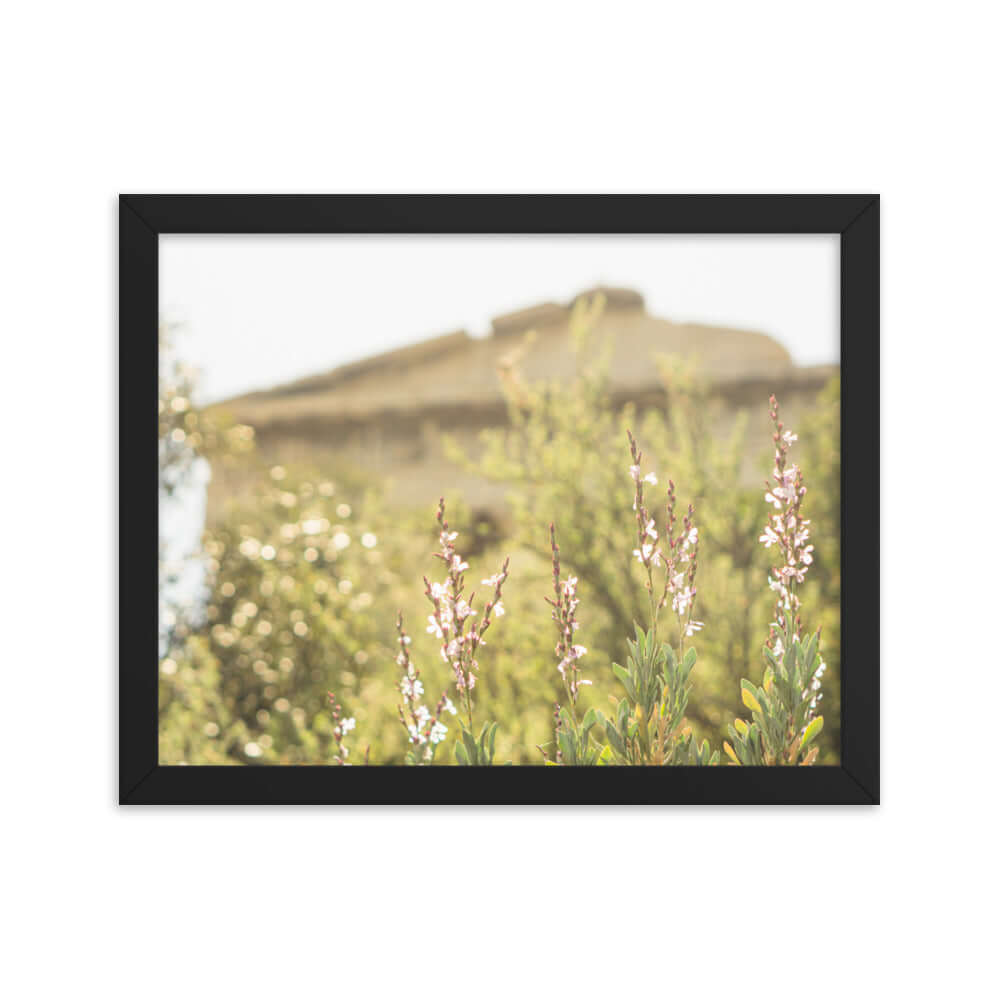 Flowers in front of Ancient Greek temple