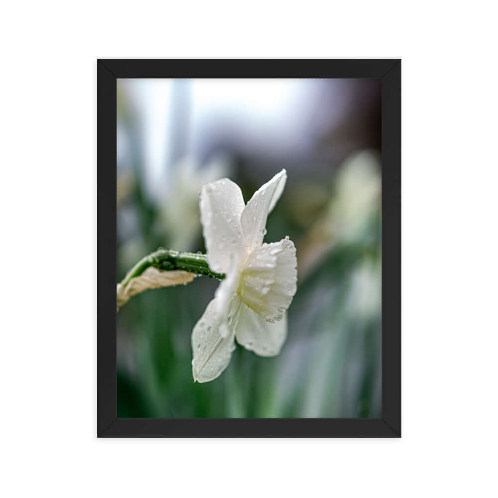 White flowers