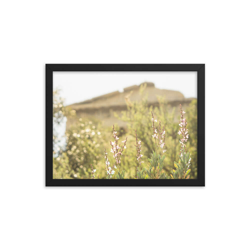 Flowers in front of Ancient Greek temple