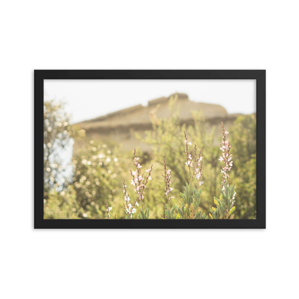 Flowers in front of Ancient Greek temple