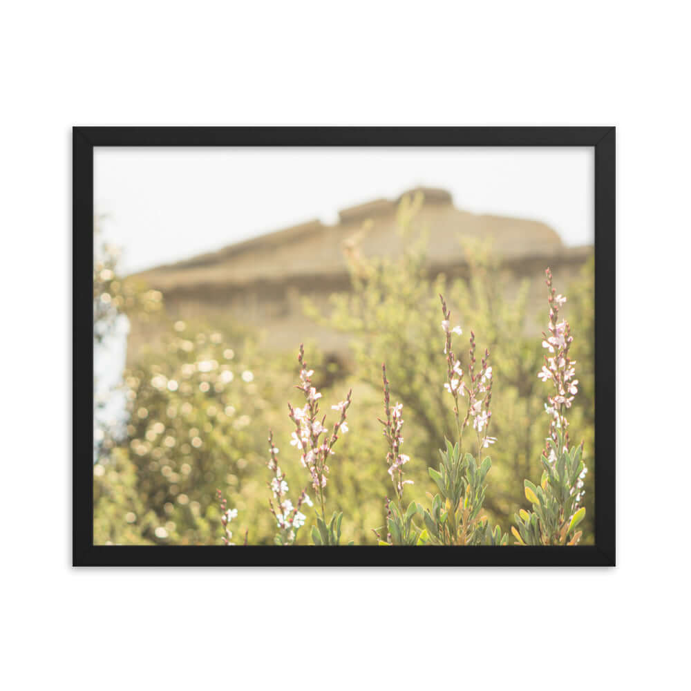 Flowers in front of Ancient Greek temple