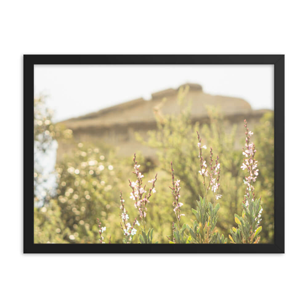 Flowers in front of Ancient Greek temple