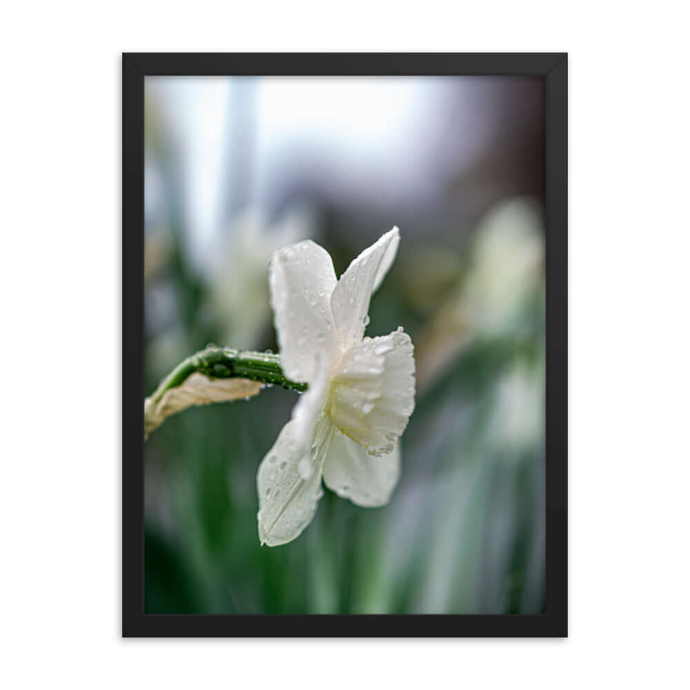 White flowers