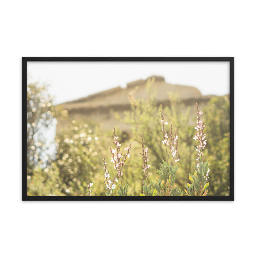 Flowers in front of Ancient Greek temple