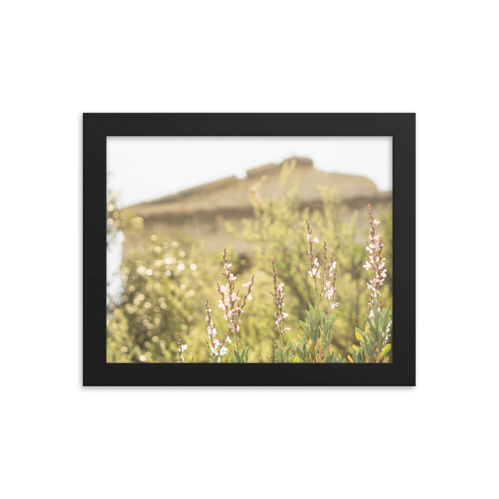 Flowers in front of Ancient Greek temple