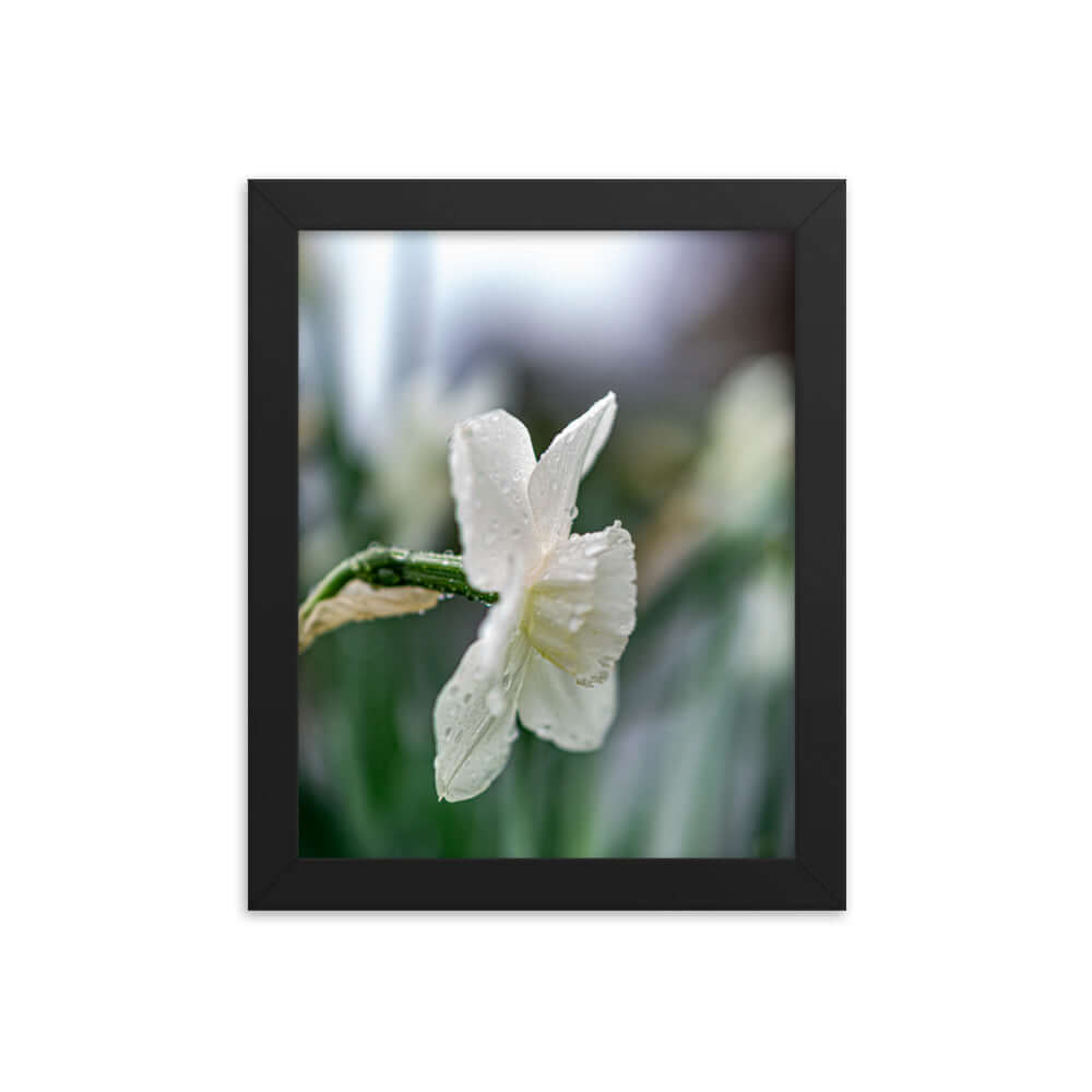 White flowers