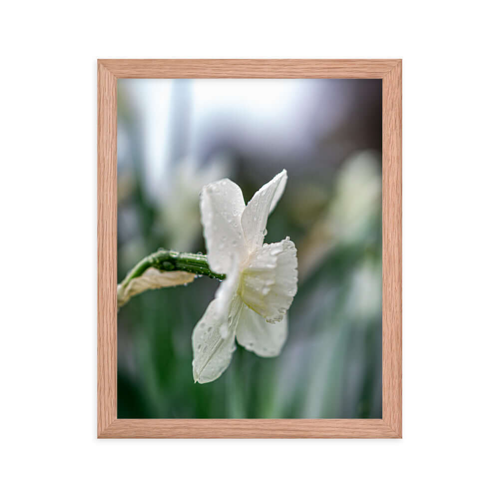 White flowers