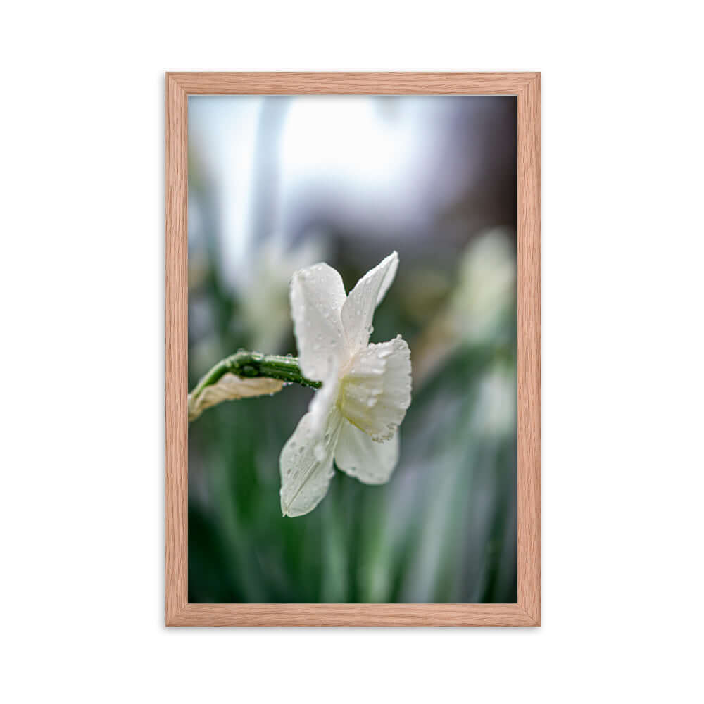 White flowers