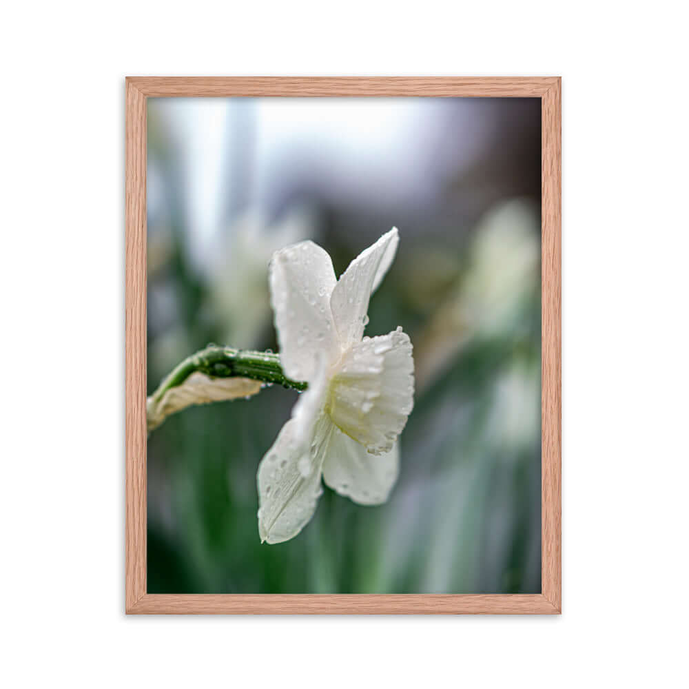 White flowers