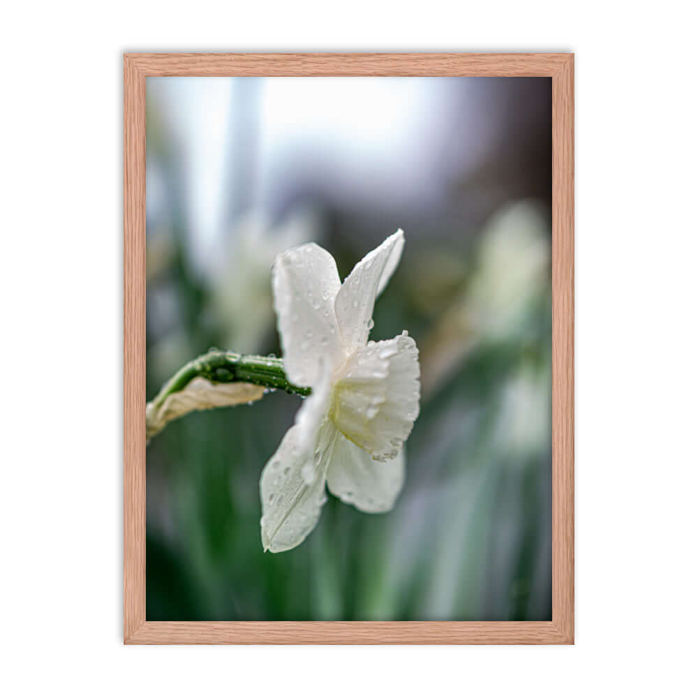 White flowers