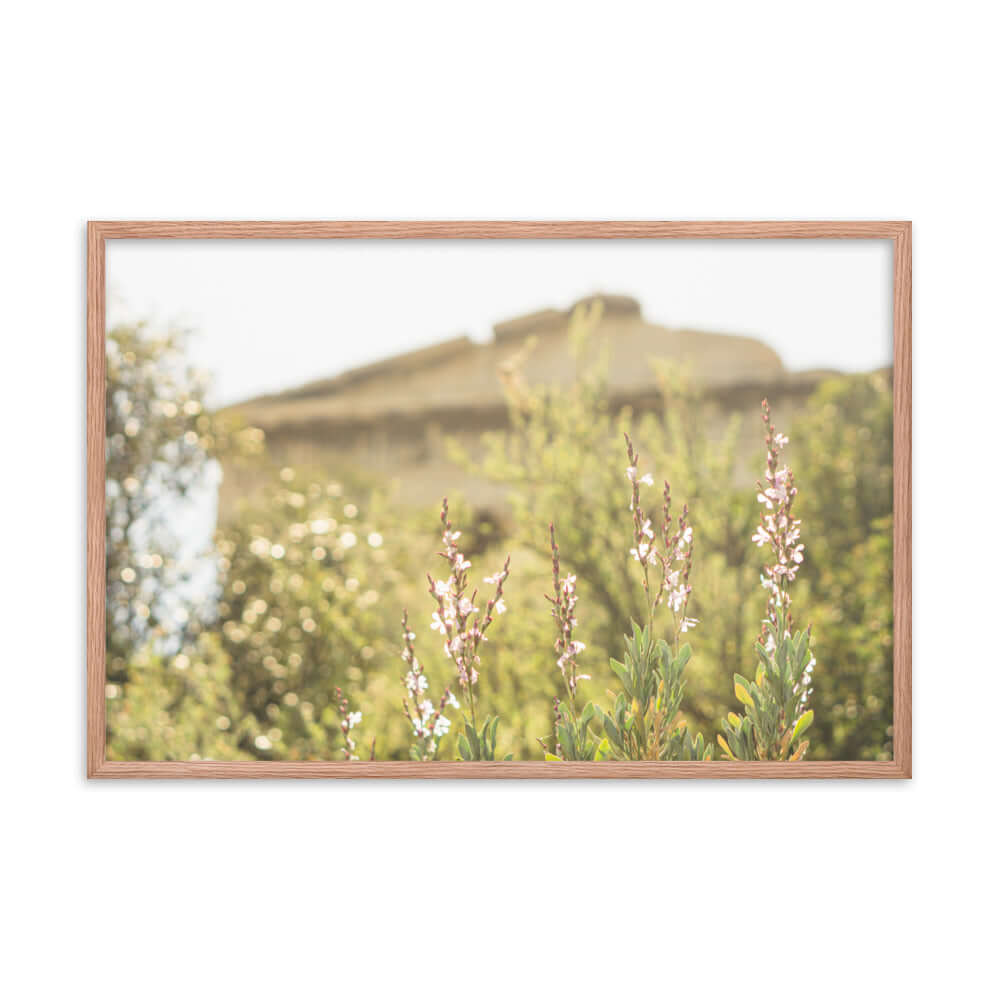 Flowers in front of Ancient Greek temple