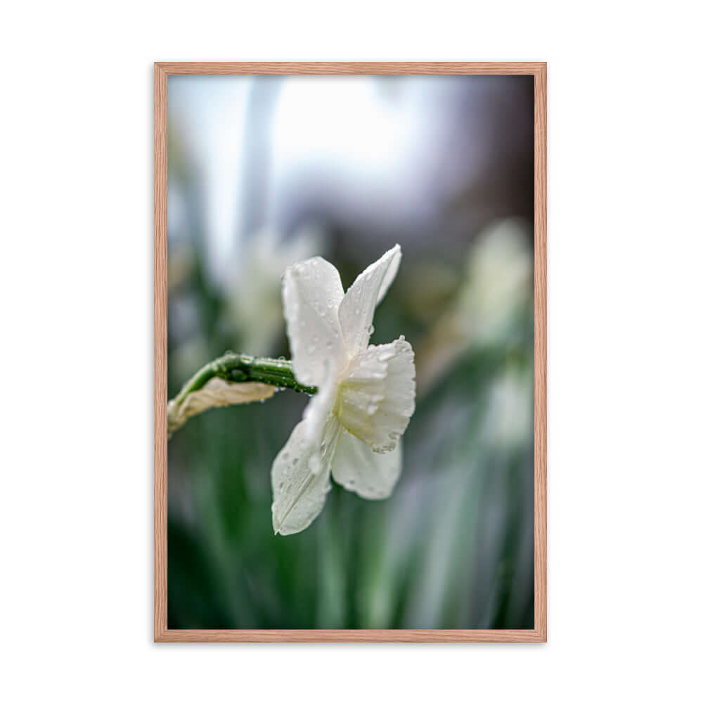 White flowers