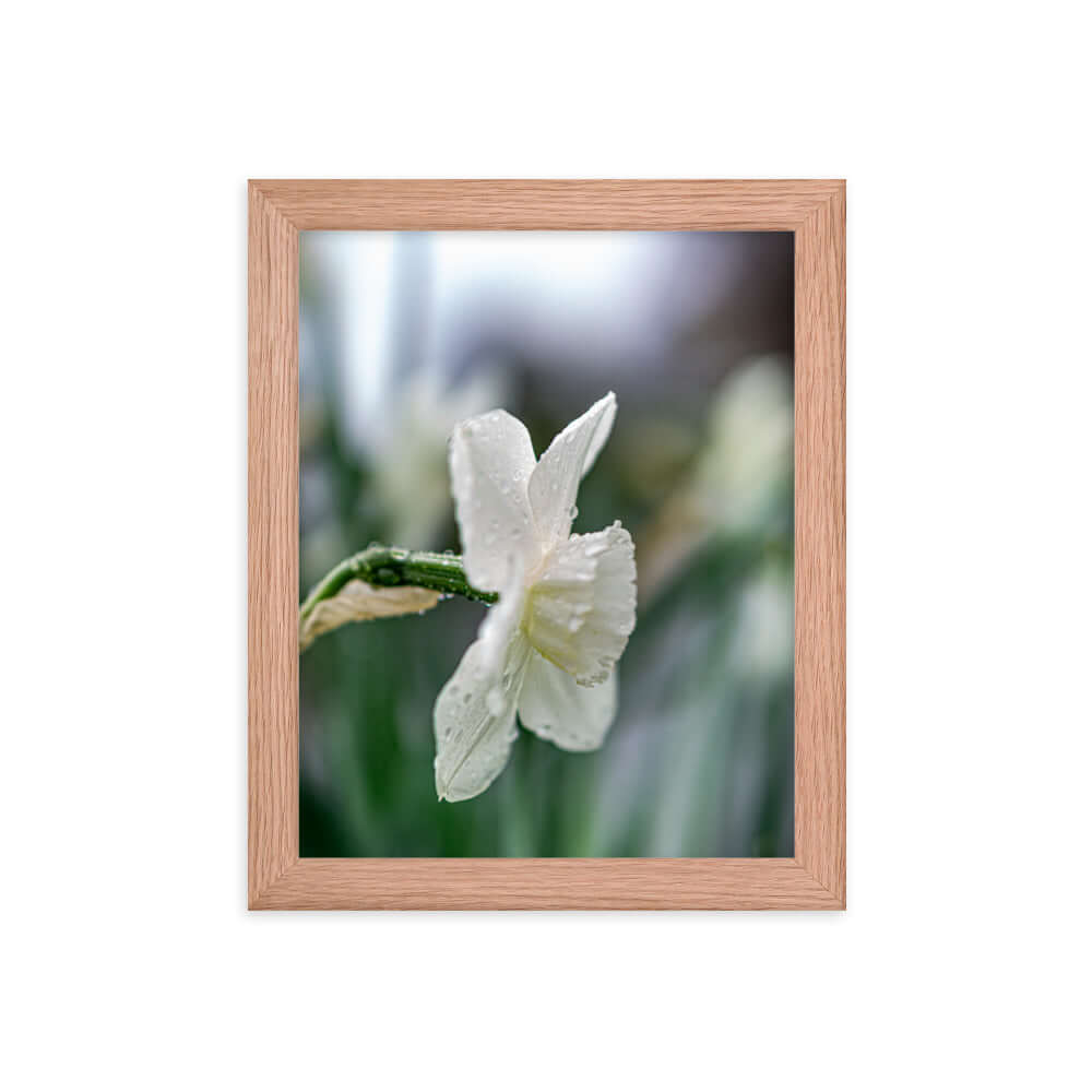 White flowers