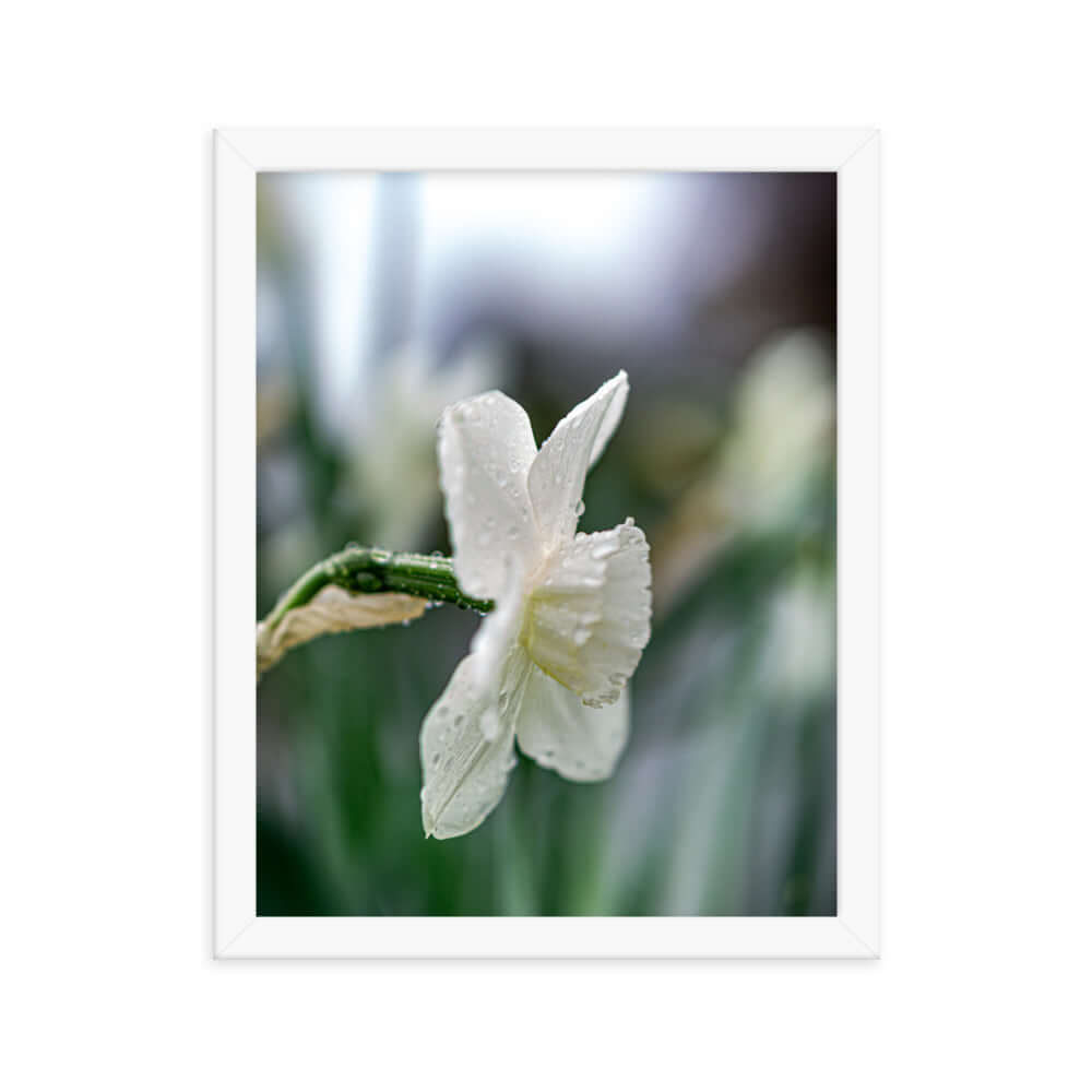 White flowers