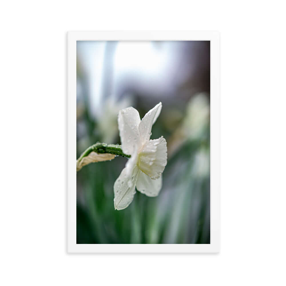 White flowers