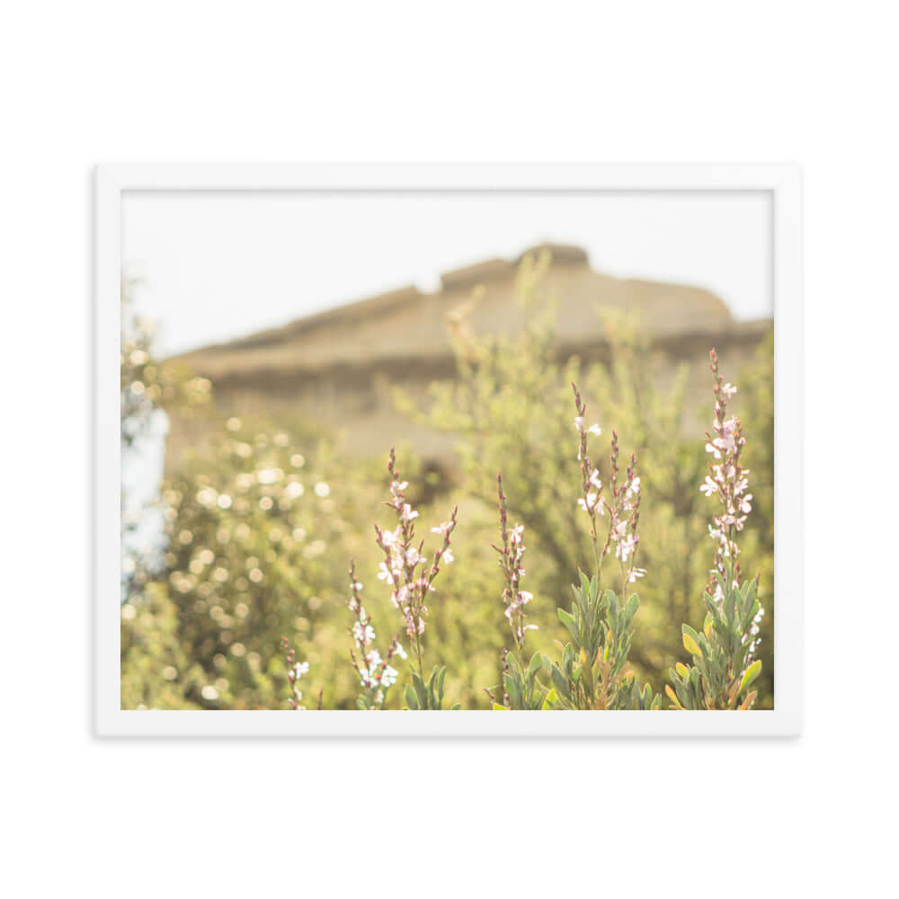 Flowers in front of Ancient Greek temple