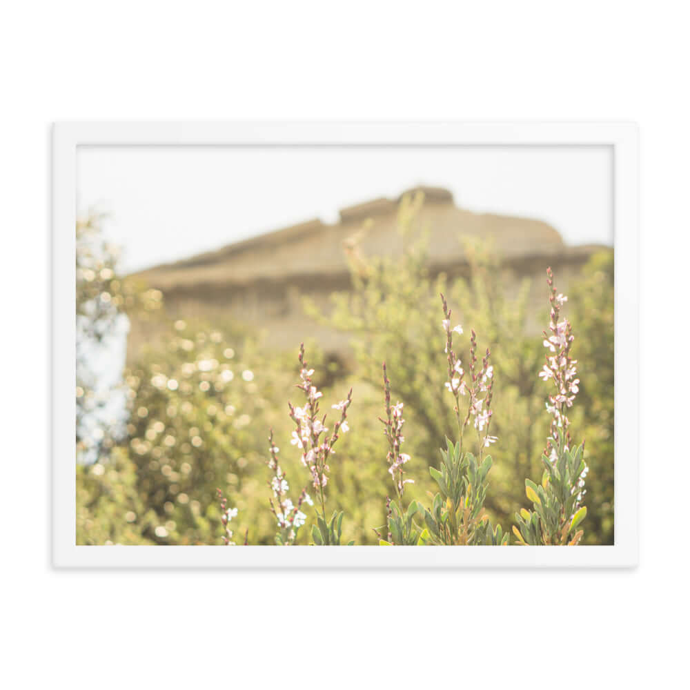 Flowers in front of Ancient Greek temple