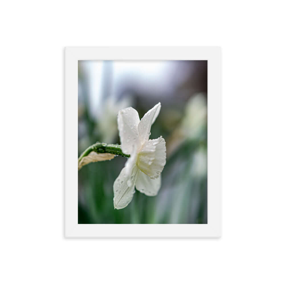 White flowers