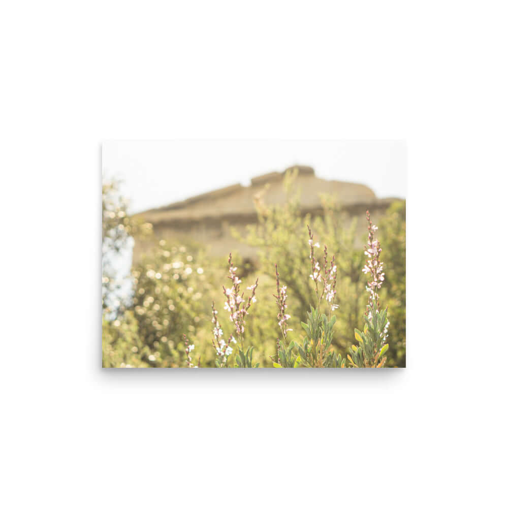 Flowers in front of Ancient Greek temple