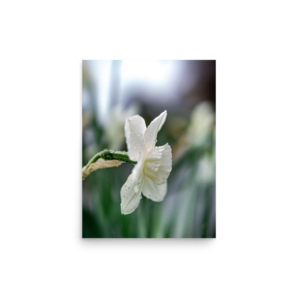 White flowers