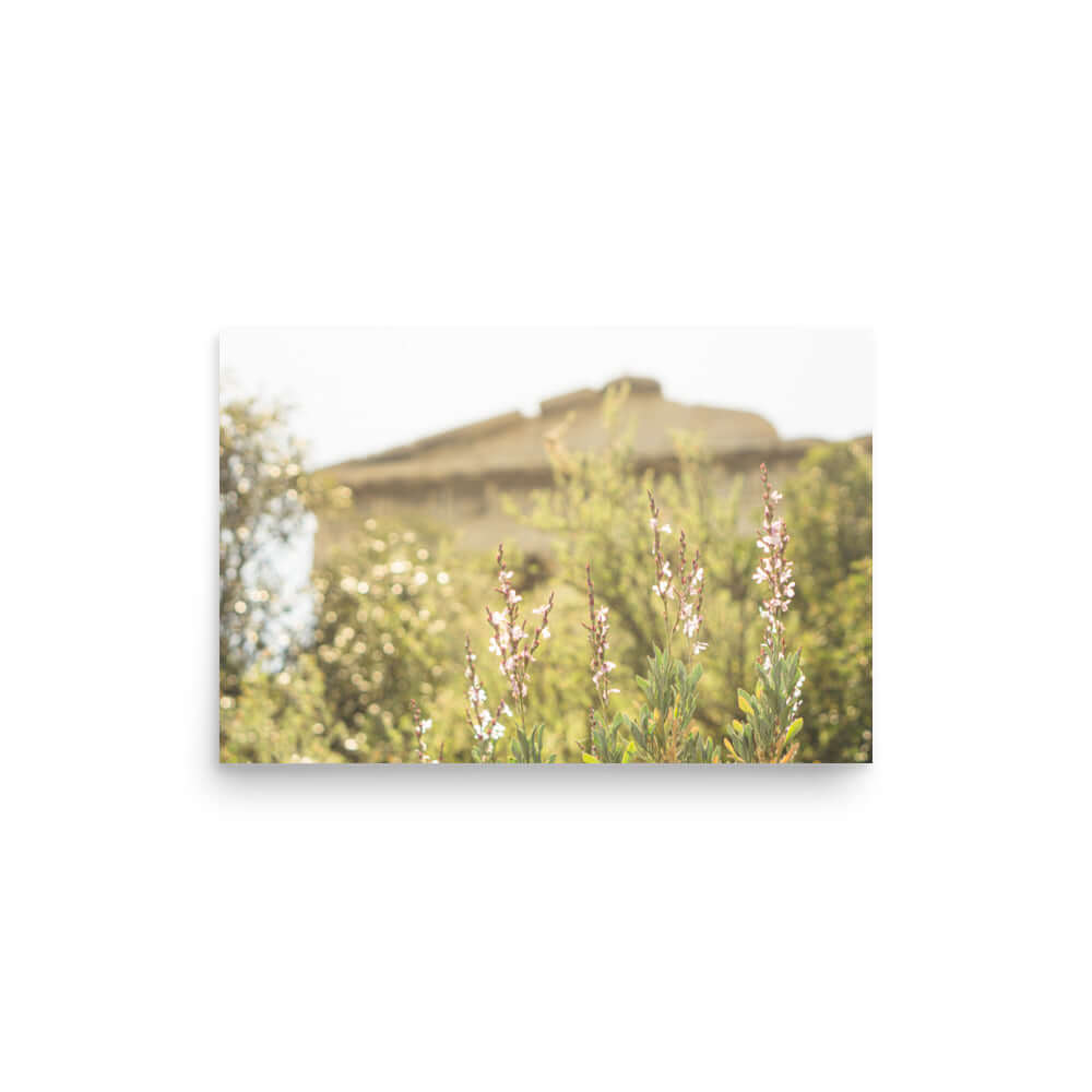 Flowers in front of Ancient Greek temple