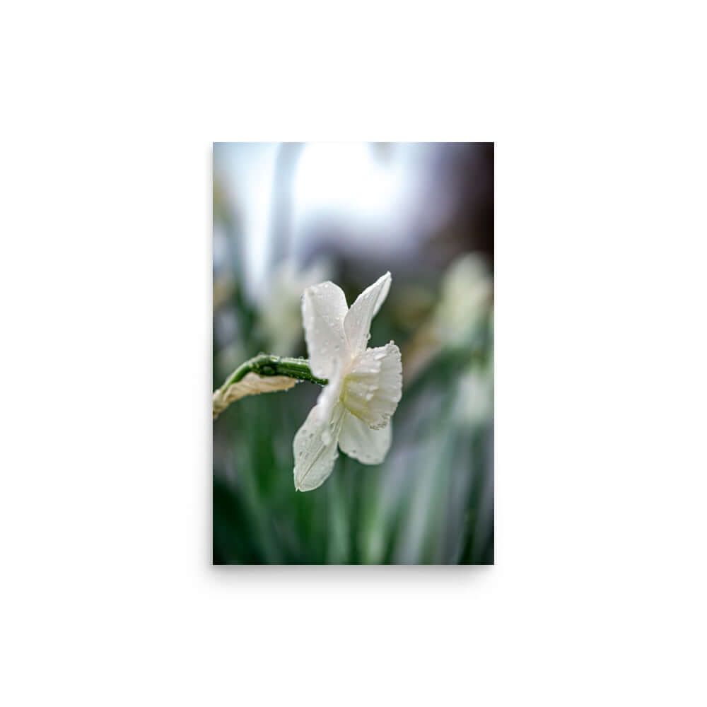 White flowers