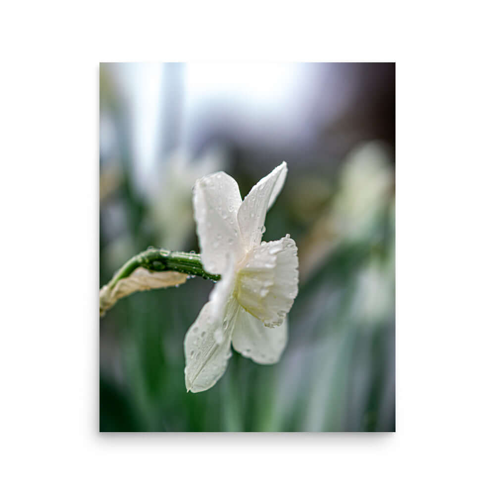 White flowers