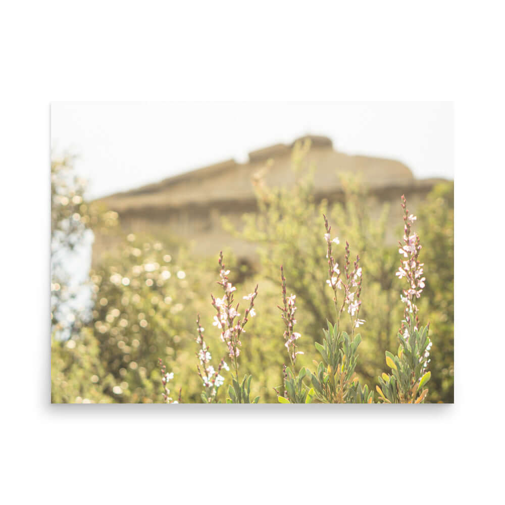 Flowers in front of Ancient Greek temple