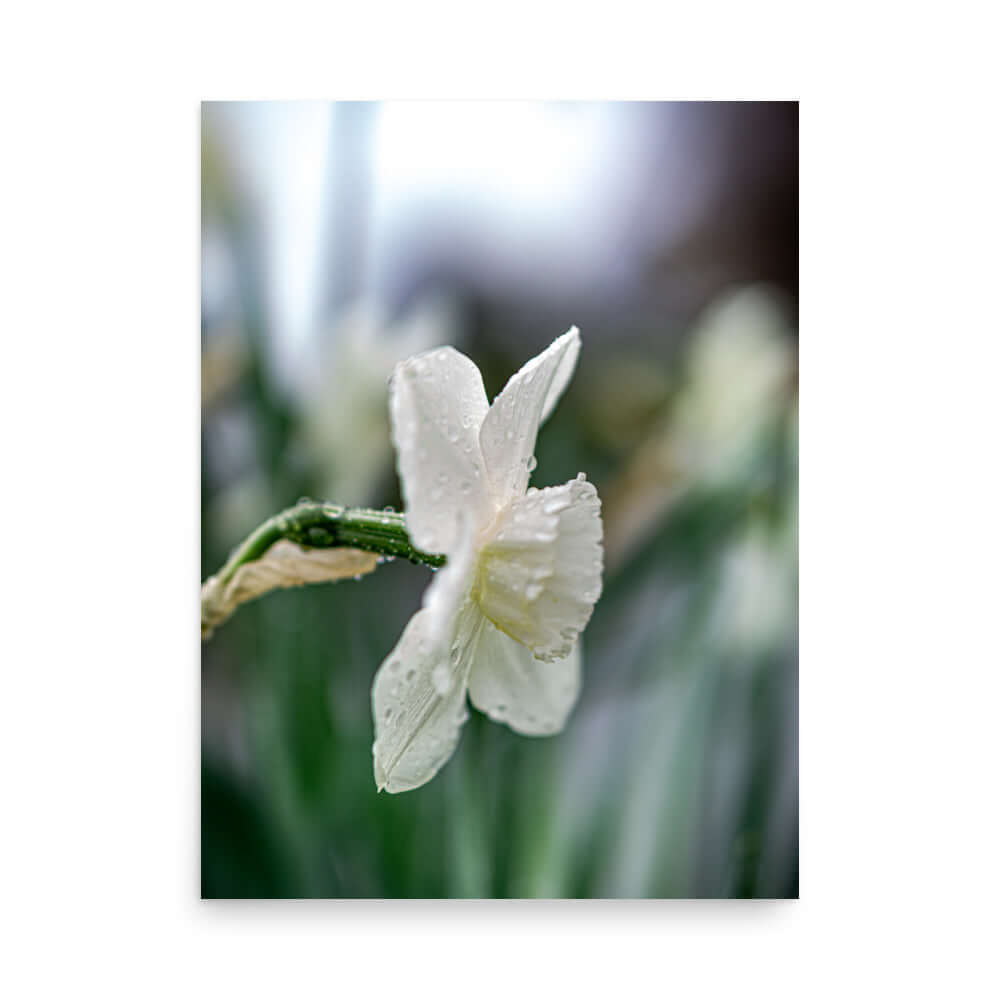 White flowers