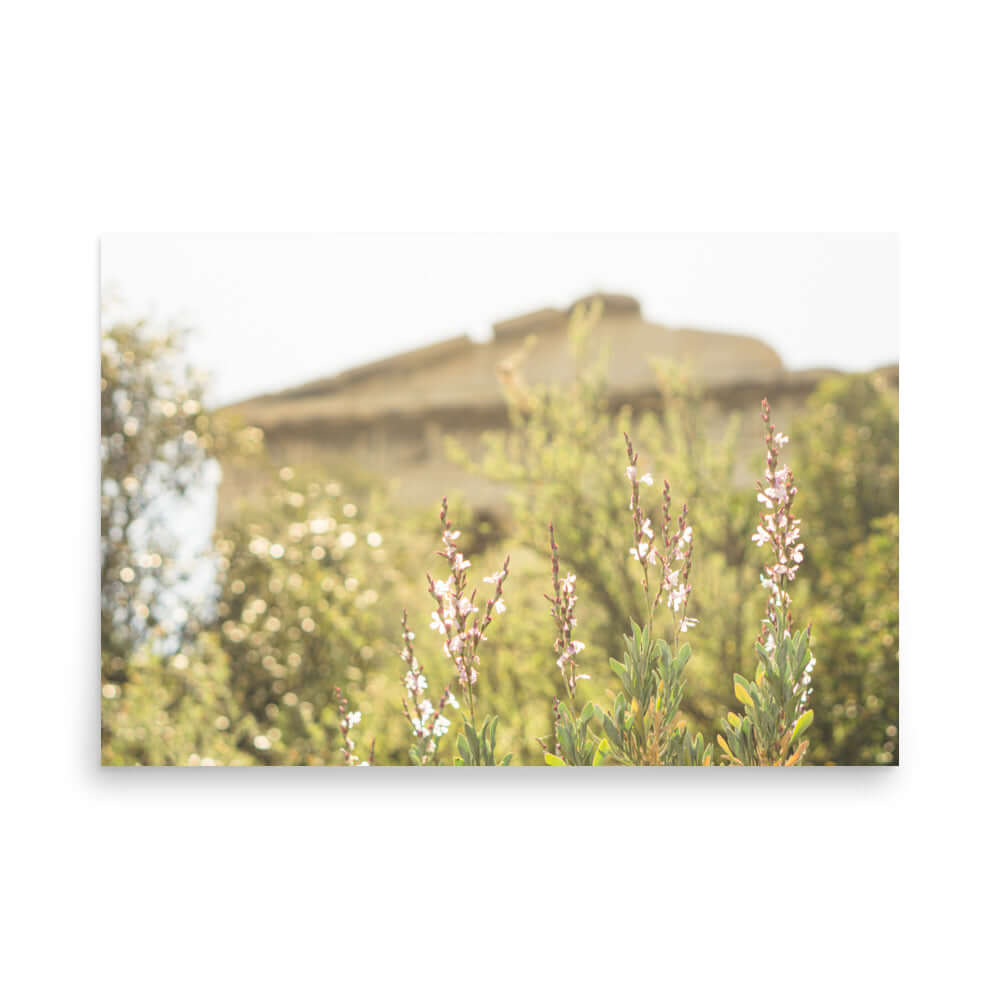 Flowers in front of Ancient Greek temple