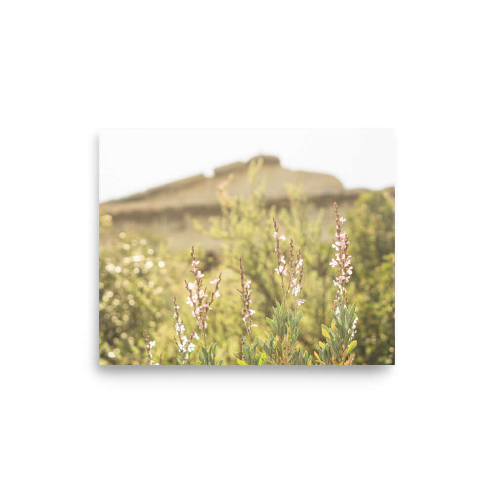 Flowers in front of Ancient Greek temple