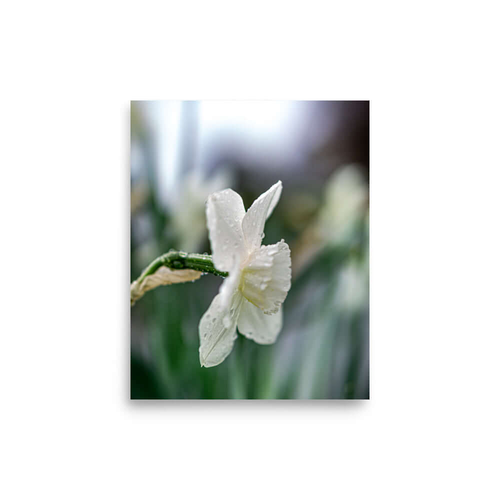 White flowers