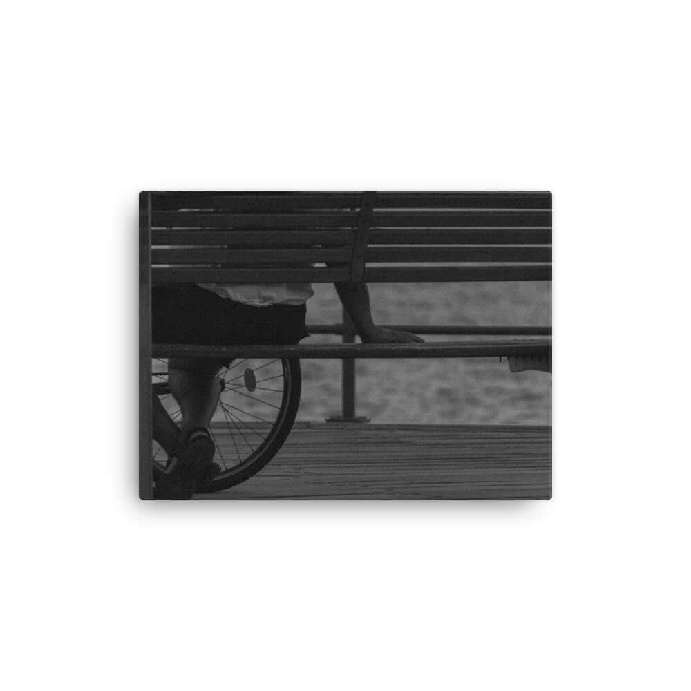 Black and White Bench