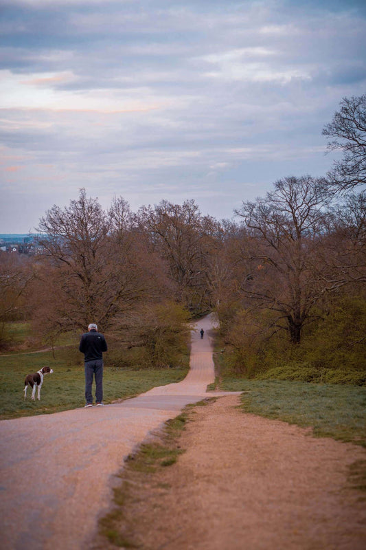 Man Walking His Dog