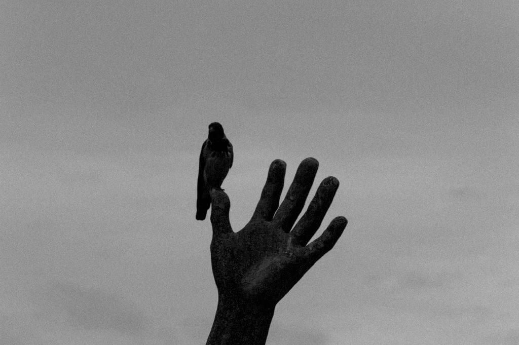 A bird sitting on a hand statue